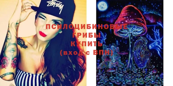 марки nbome Вяземский