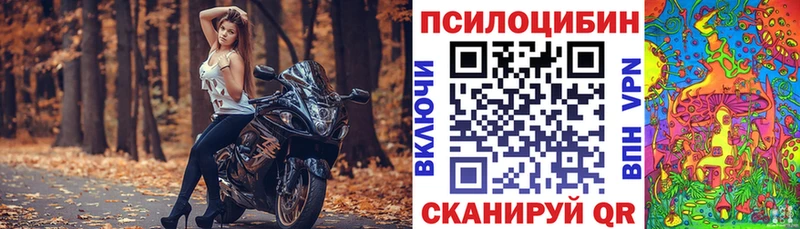 купить наркоту  Харовск  Псилоцибиновые грибы мицелий 